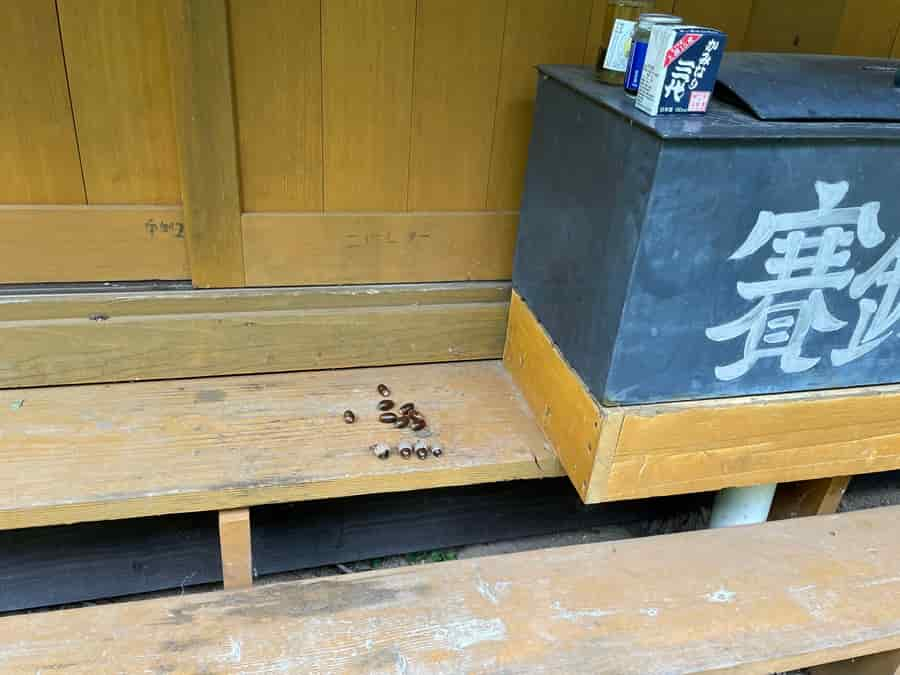 来運神社のお供え物