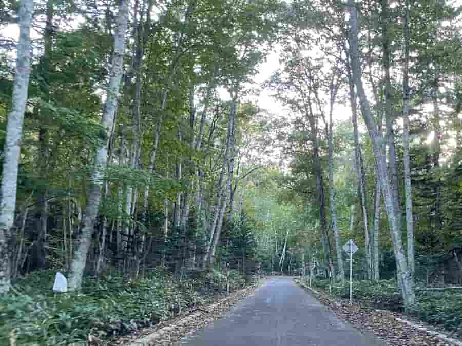 津別峠の道路