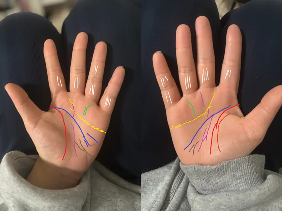 占いジプシー予備軍の手相を見た結果