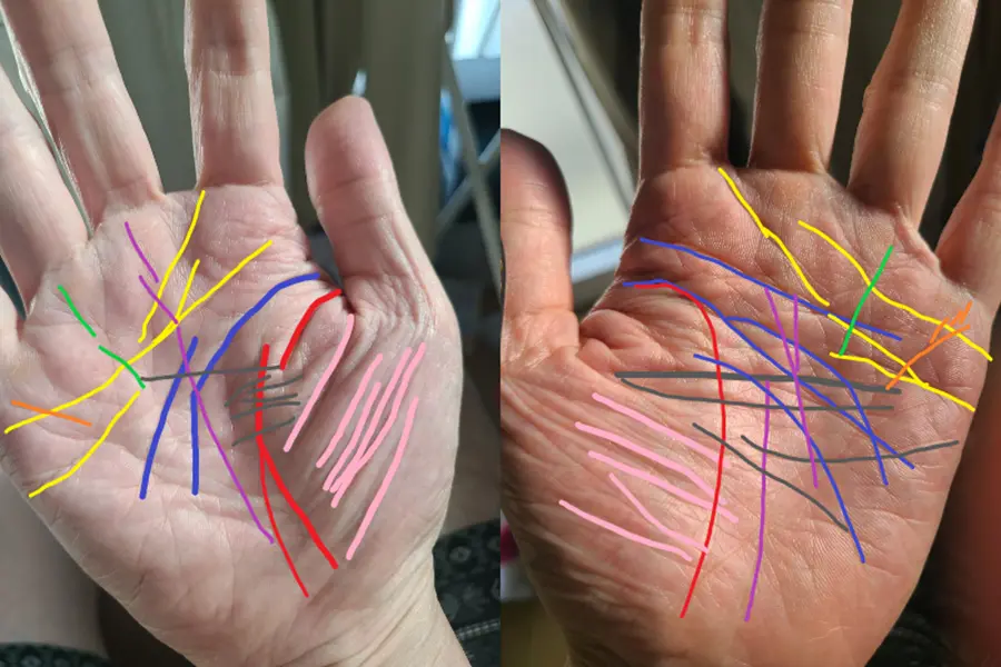 線が多いメチャクチャな手相