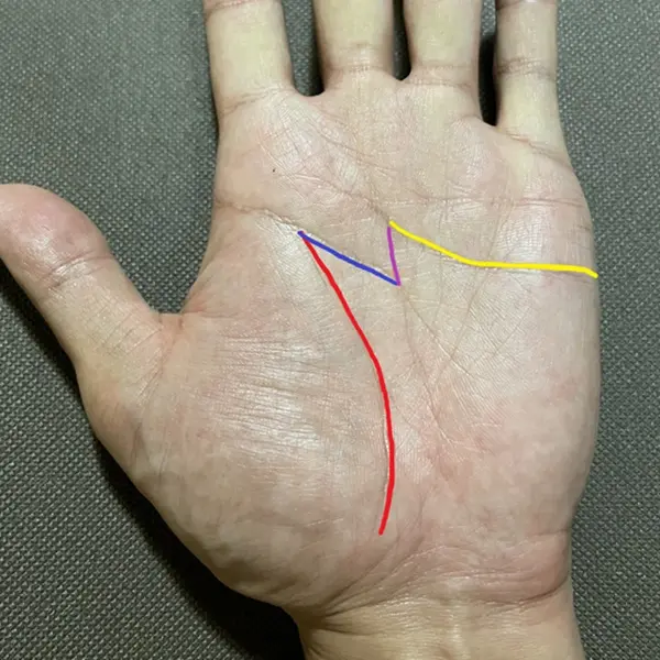 ラッキーMは金運最強？望みを具現化できる？