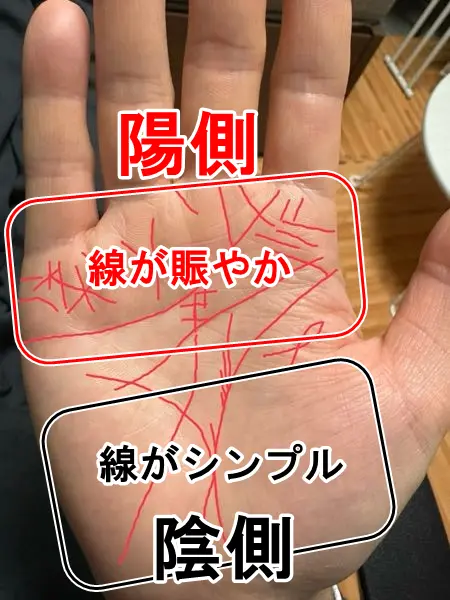 手相に線を書く心理