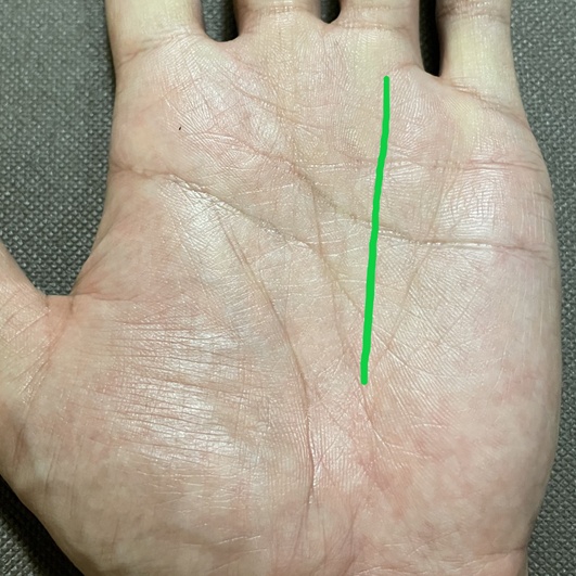 金運や人気運に関わる太陽線