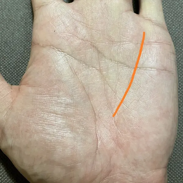 お金が貯まる人の線？財運線