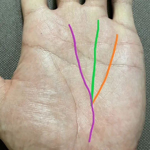 人気運や金運、仕事運が最強？の覇王線