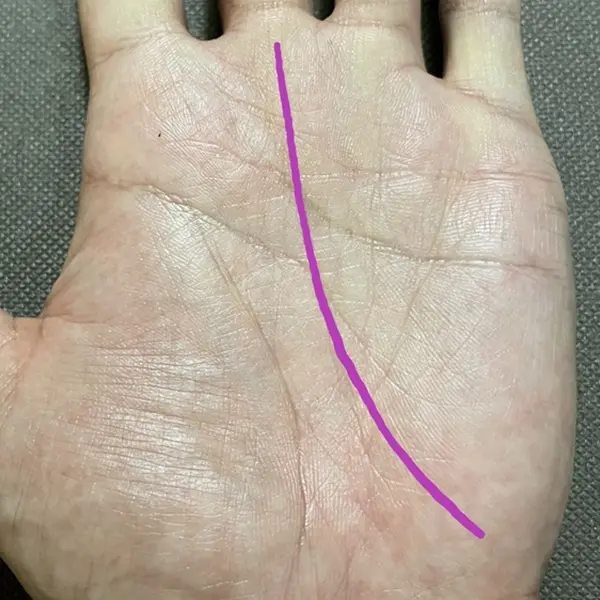 タレント線、人気運命線