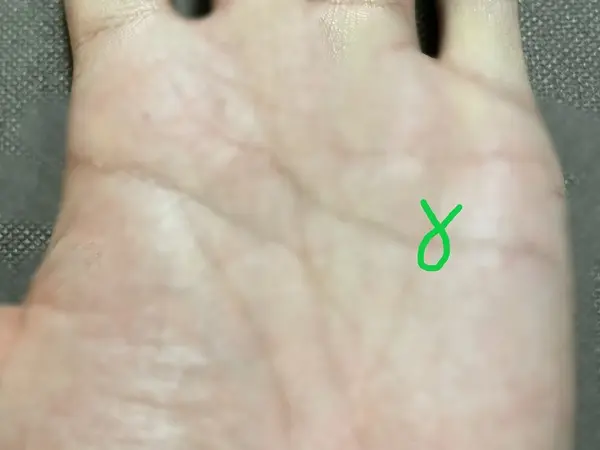 手相のフィッシュ