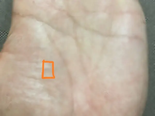 手相のスクエア