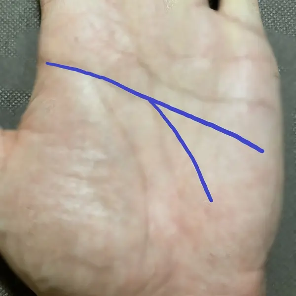 知能線の枝分かれはマルチな才能がある？